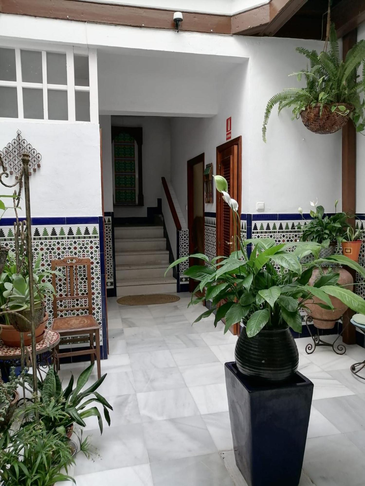 Apartamento Centro كاديز المظهر الخارجي الصورة